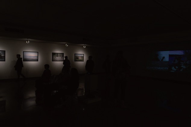 Harry Wood 美术馆，美国，2018